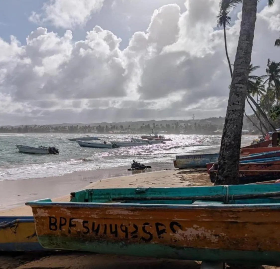 Beach And Comfort Las Terrenas Appartement
