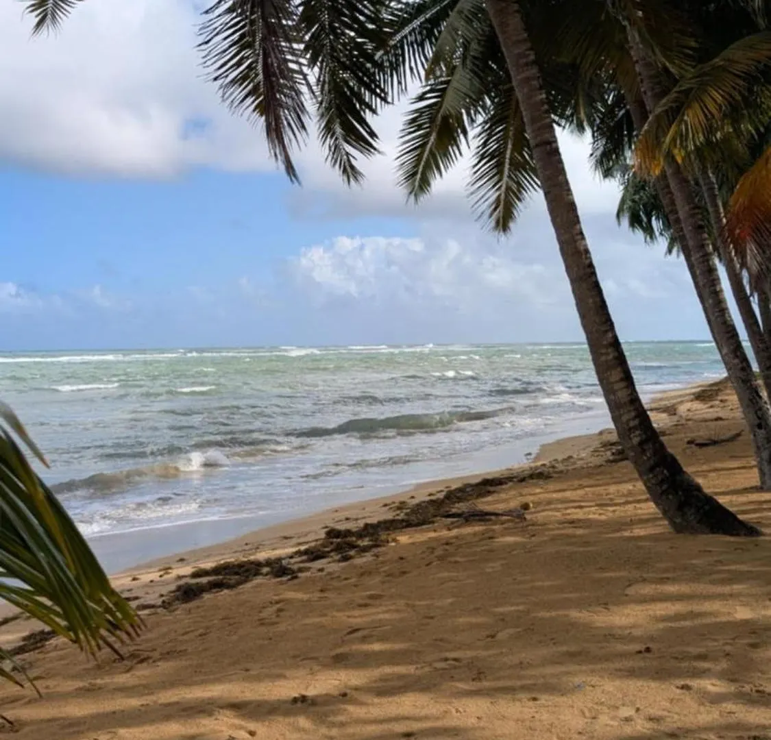 Appartement Beach And Comfort Las Terrenas Dominicaanse Republiek